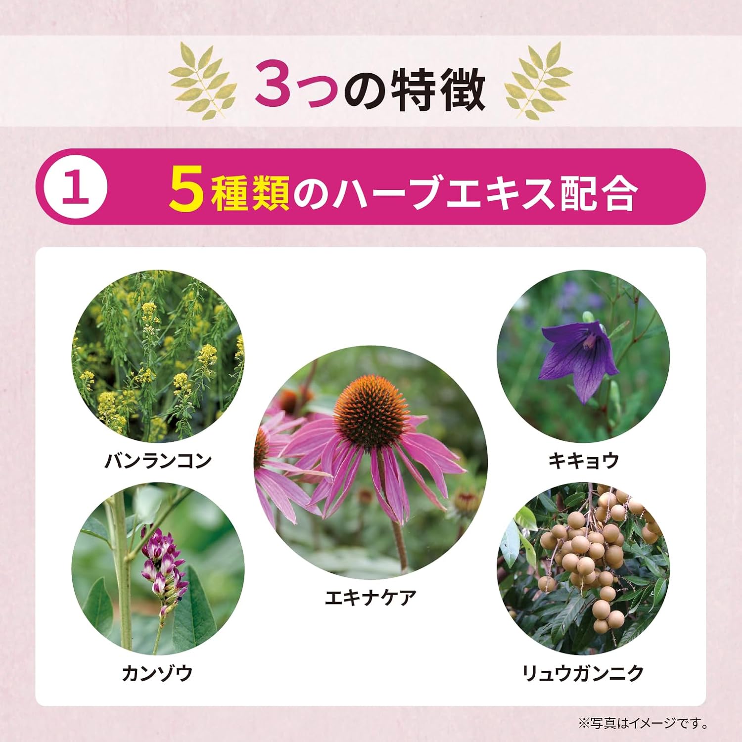 エキナセア配合のど飴 52g [ノンシュガー 個包装 メントール]