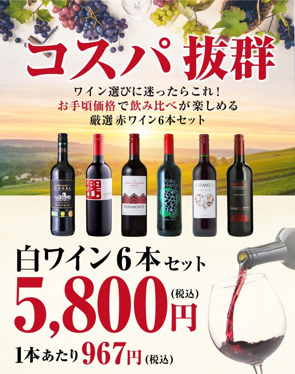 コスパ最強 デイリーワイン 赤ワイン 6本セット ギフト用