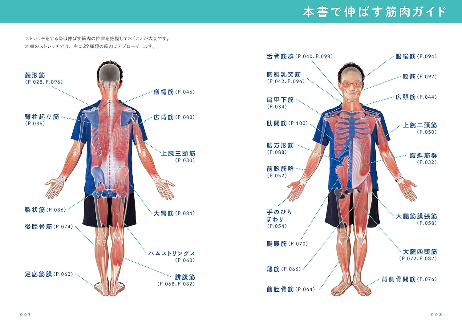 1分でできる！なぁさんの極伸びストレッチ