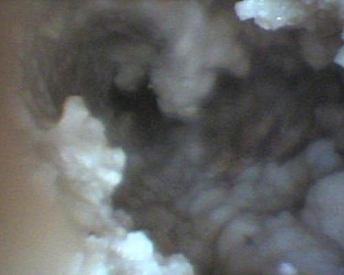 トイレ用尿石除去パワーブロック 2個セット