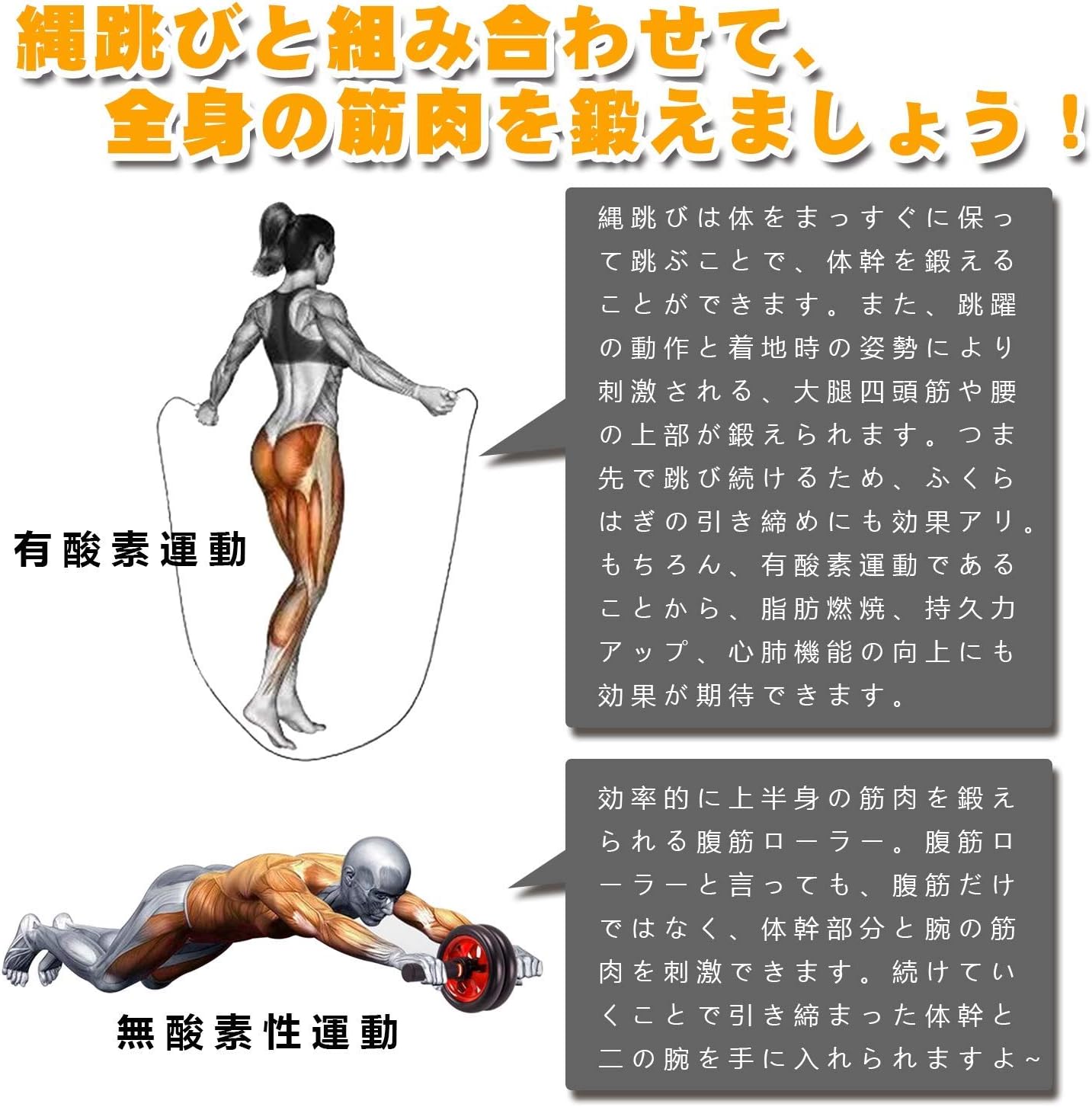 腹筋ローラー 静音 アブホイール 膝保護マット付き 耐荷重200kg
