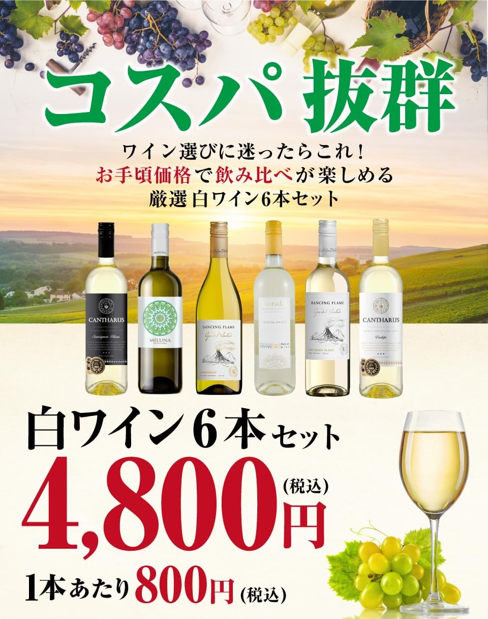 コスパ最強 ソムリエ厳選 白ワイン 6本飲み比べセット ギフト用