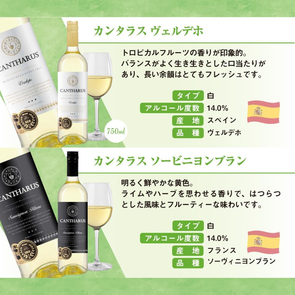 コスパ最強 ソムリエ厳選 白ワイン 6本飲み比べセット ギフト用