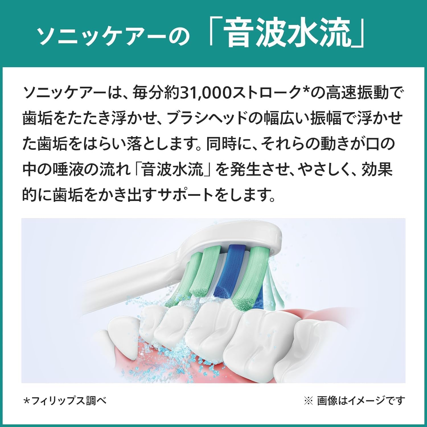 フィリップス ソニッケアー 電動歯ブラシ 2100シリーズ USB充電式 HX3651/23 ホワイト