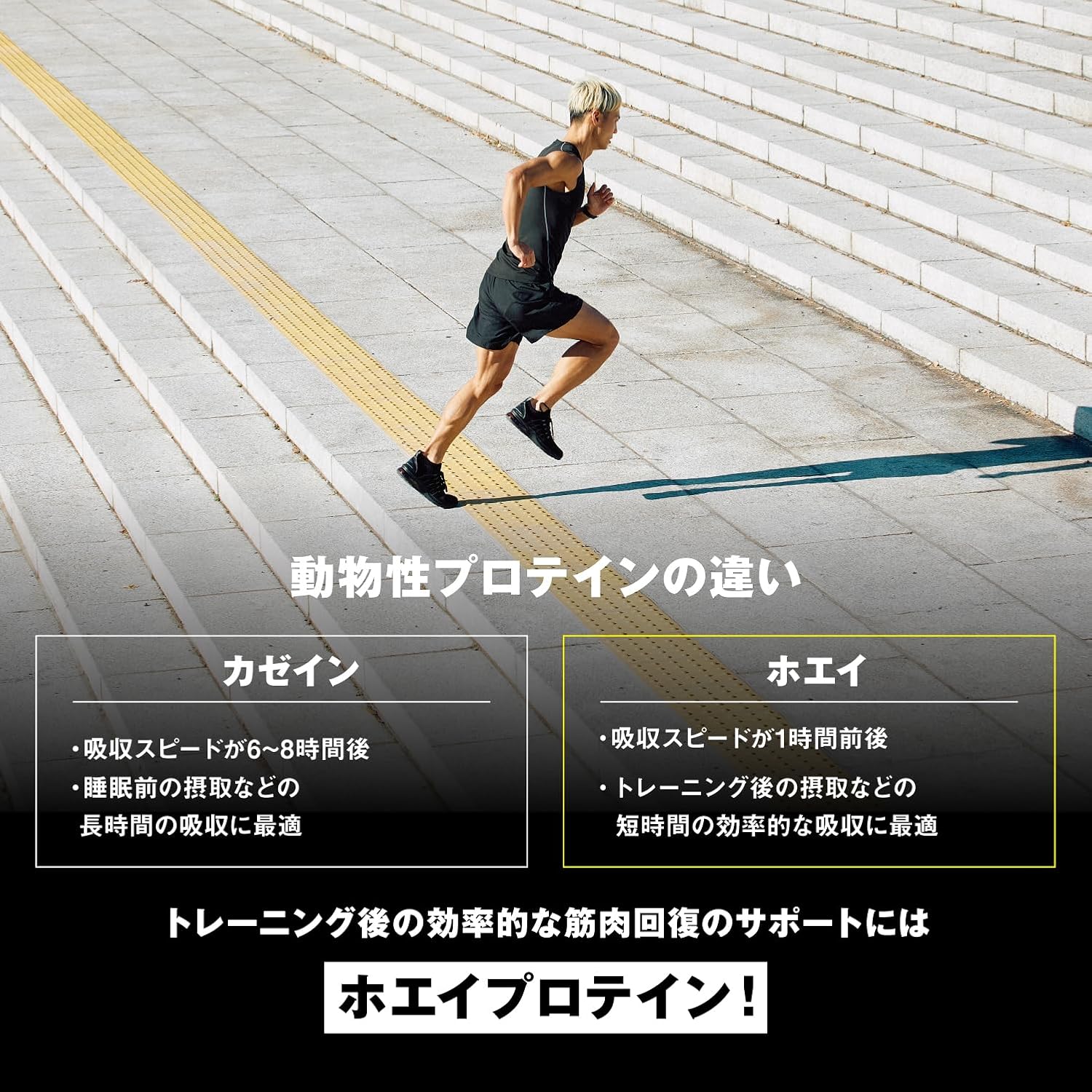 ON Gold Standard 100% ホエイプロテイン ダブルリッチチョコレート 907g 主要成分WPI