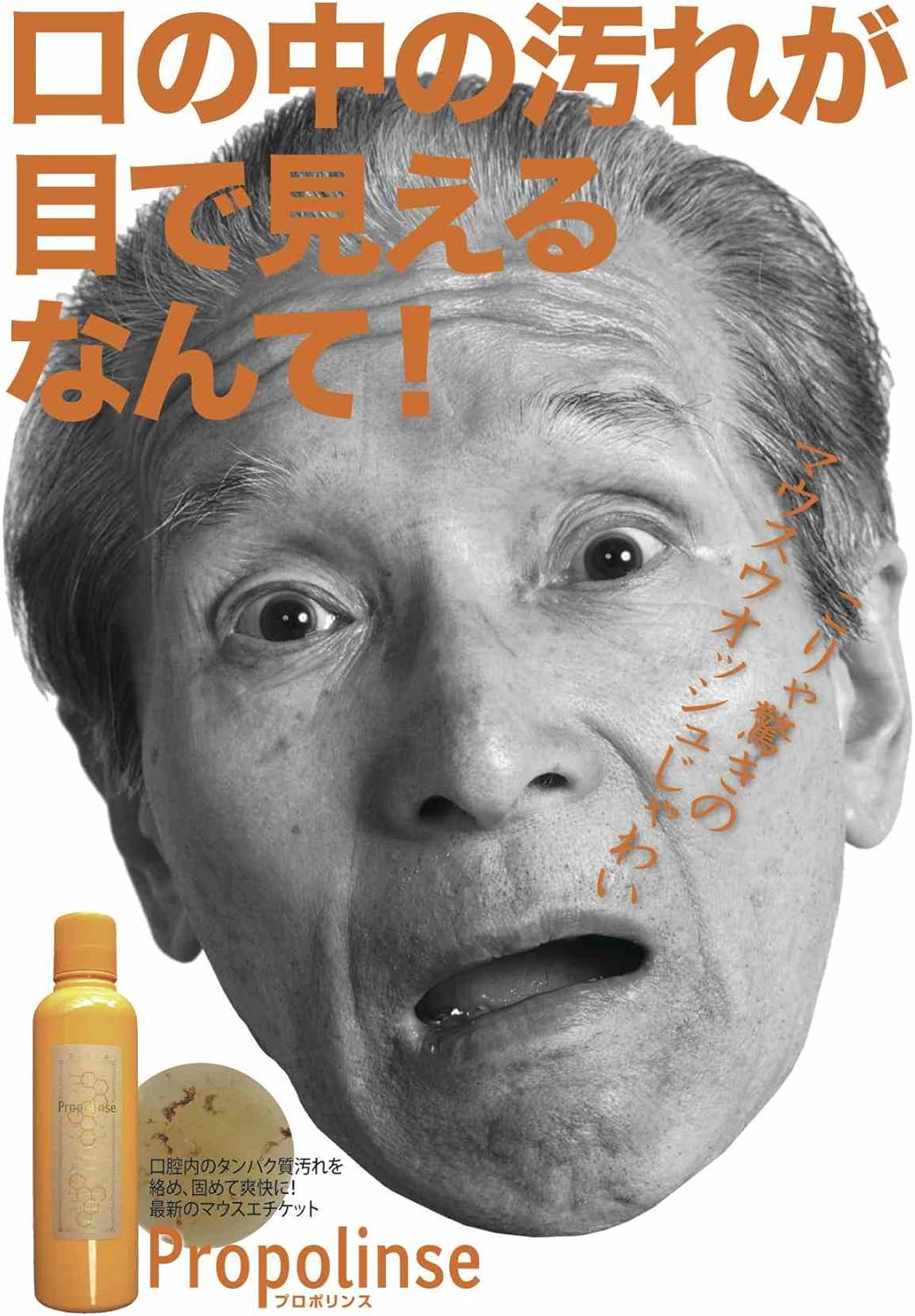 プロポリンス 液体 600ml (アルコールタイプ)