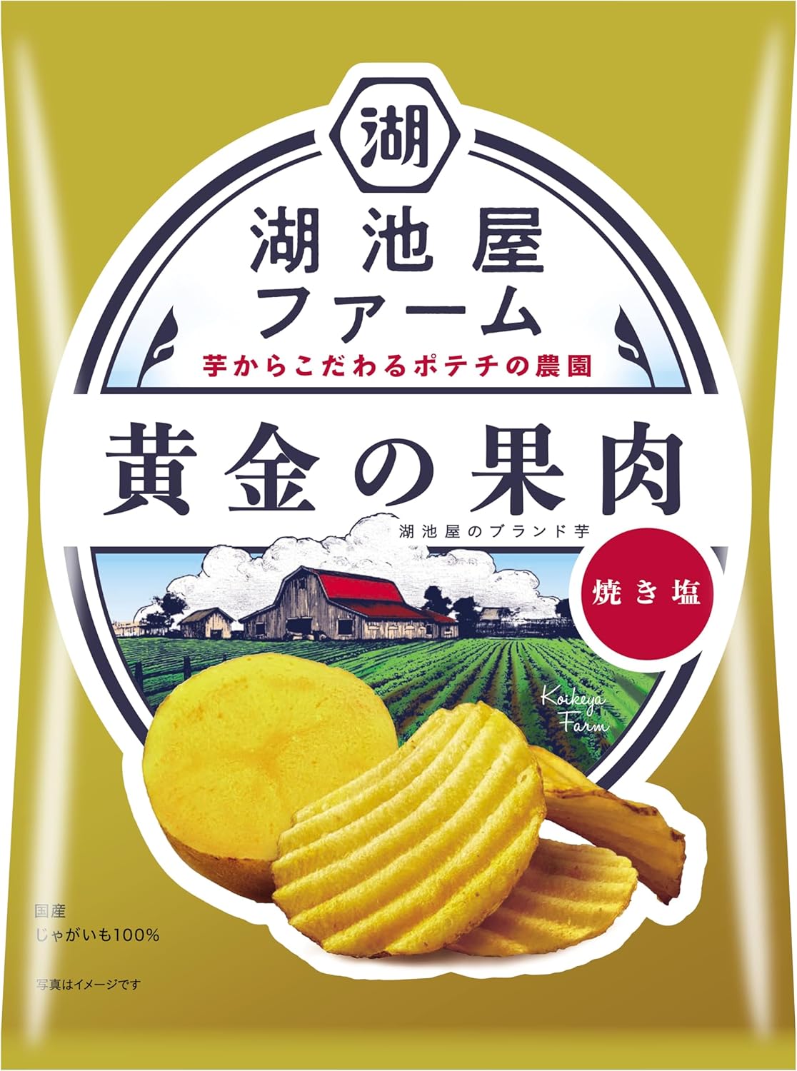 湖池屋ファーム 黄金の果肉 焼き塩ポテトチップス 55g✕12袋