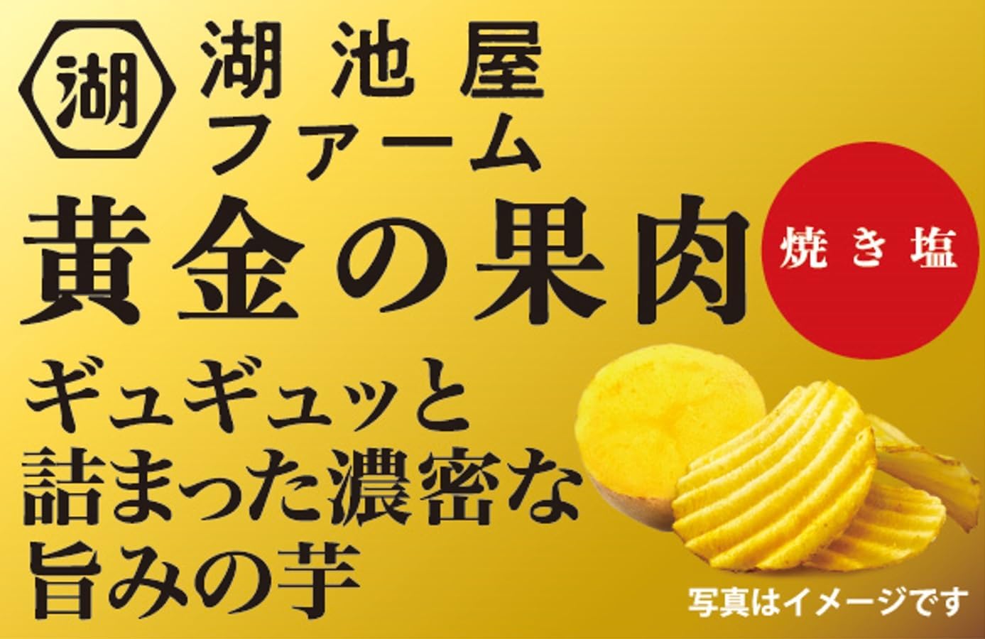 湖池屋ファーム 黄金の果肉 焼き塩ポテトチップス 55g✕12袋