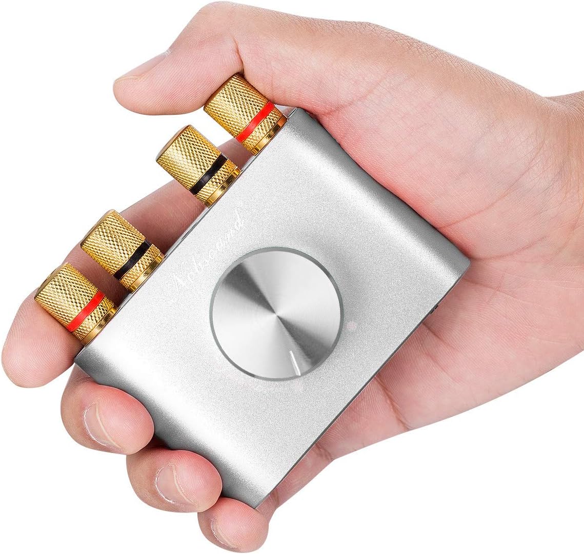 Bluetooth 5.0対応100W HiFiパワーアンプ NS-01G Pro (シルバー)