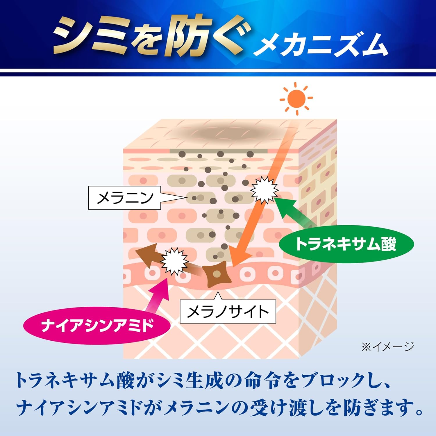 メンズケシミン オールインワンクリーム シワ改善・そばかす対策【薬用】90g
