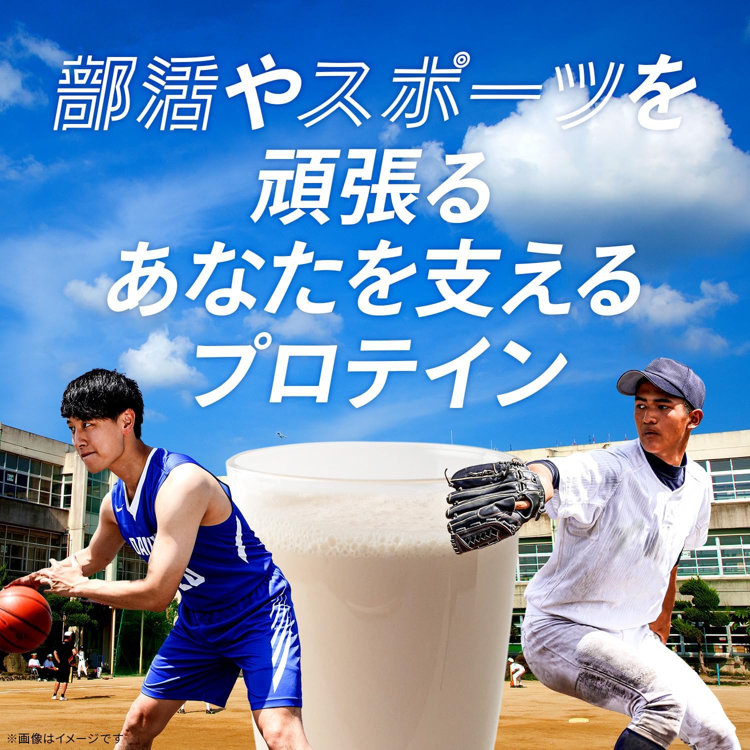 プロテイン3kg チョコ風味 マルチプロテイン 国内製造エネルギー補助食品