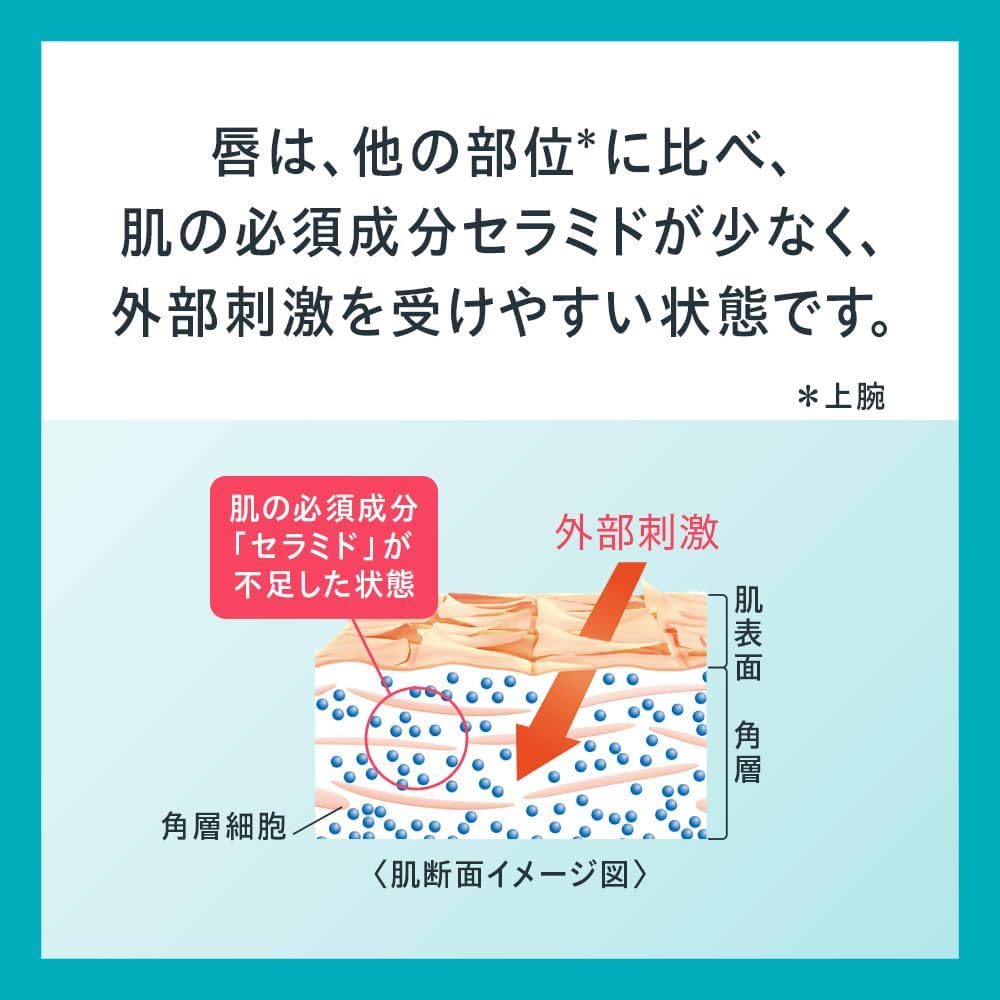 キュレル スムージング リップケアスティック 4.2g