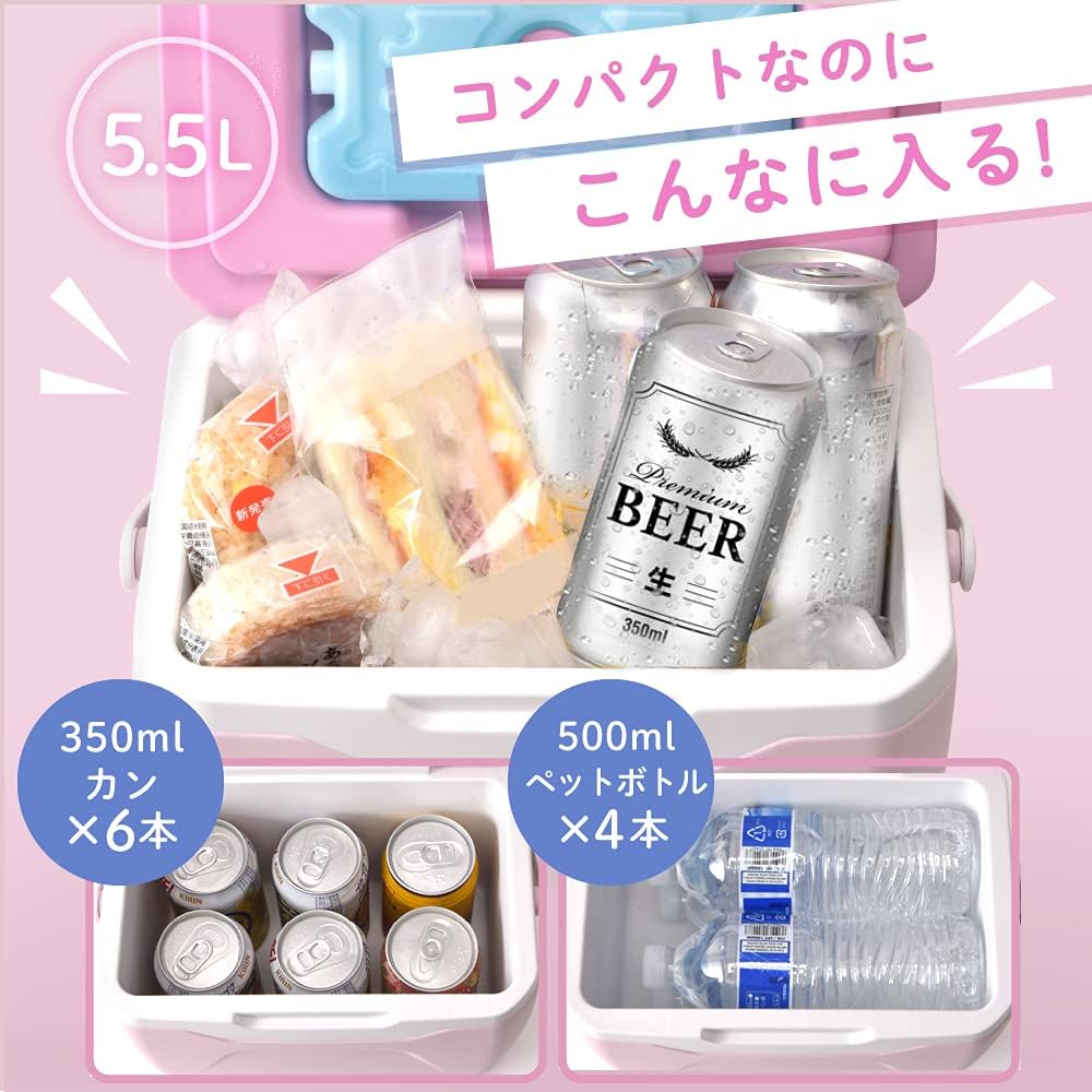 ミニクーラーボックス 5.5L/20L 小型 保冷剤付き 釣り・キャンプ用【FUN SERIES】
