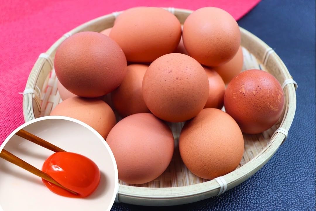 高級京丹波産赤彩卵 20個入 新鮮濃厚卵 ギフト用
