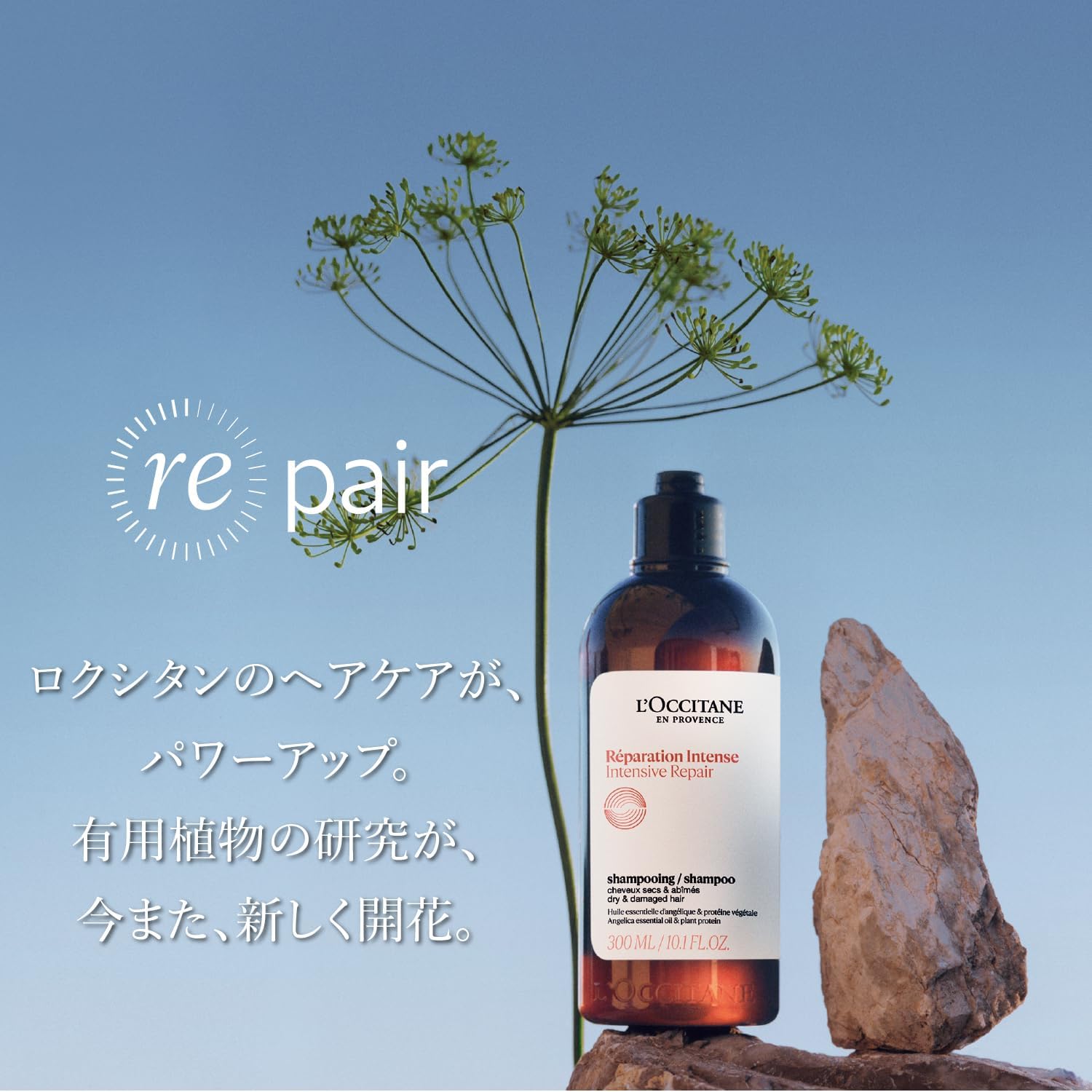 ダメージケア リペアシャンプー＆コンディショナーセット（ファイブハーブス）