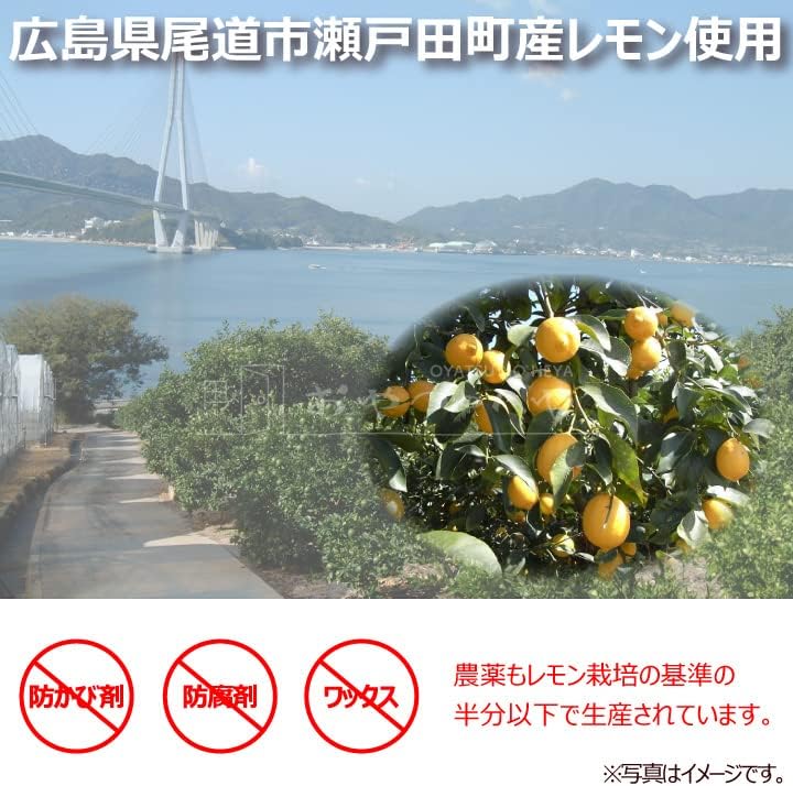 瀬戸内産レモン使用 粉末レモネード 135g（15g×9本）×3袋セット