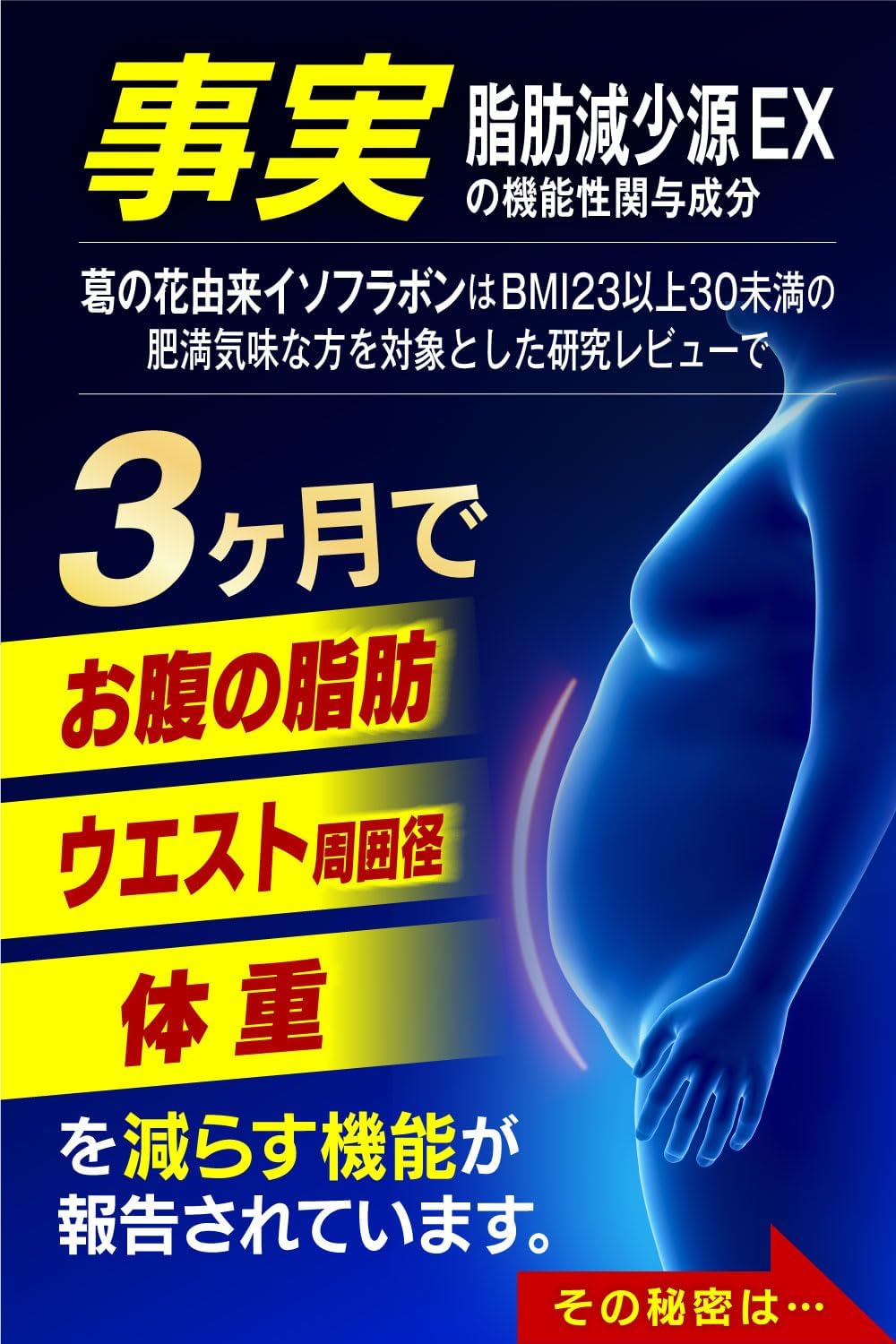体重・ウエスト引き締めサポート 60粒入り(30日分)機能性表示食品 葛の花由来イソフラボン配合 日本製
