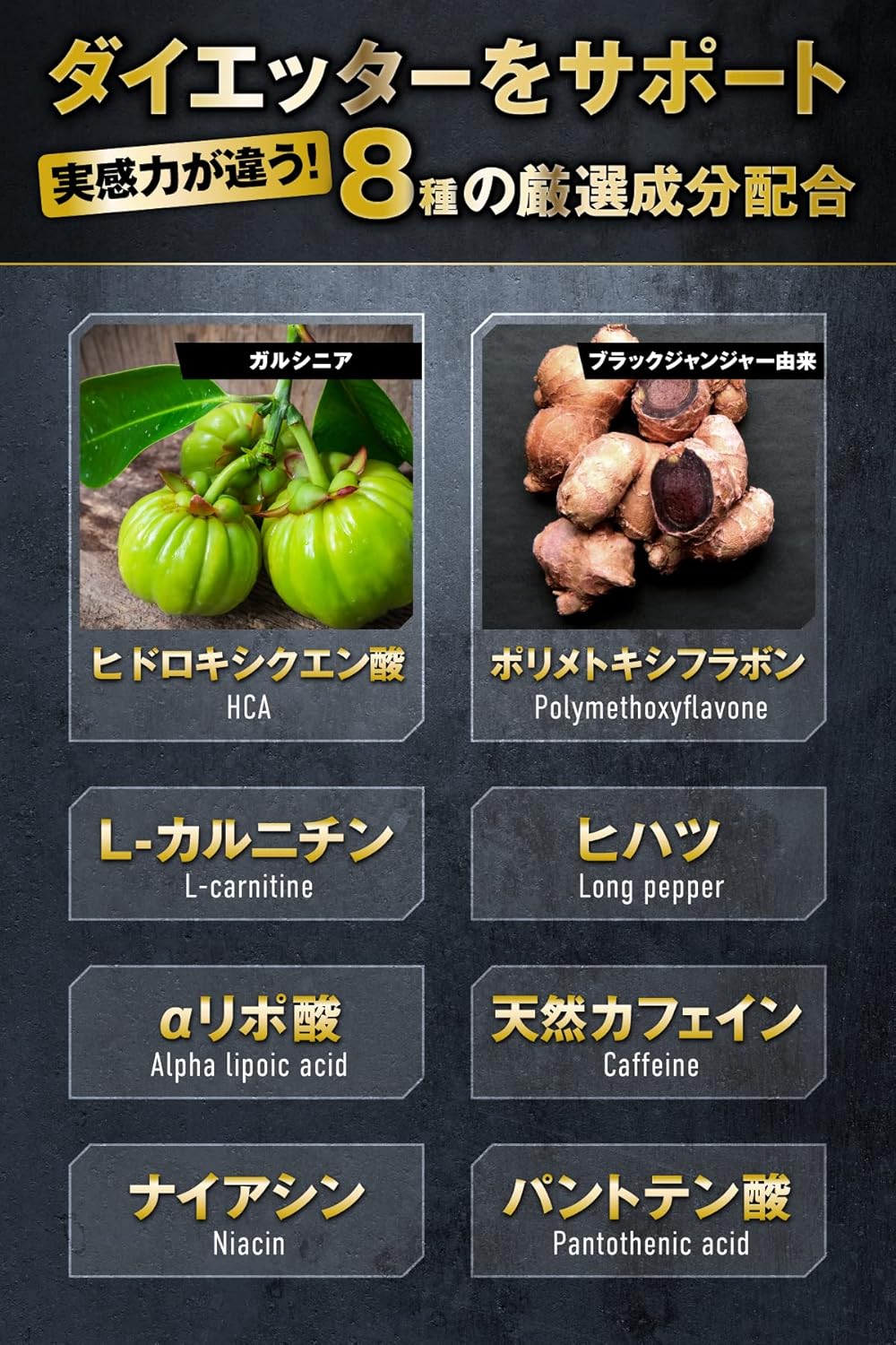 プレミアムバーナー 120粒 山澤礼明監修 8種成分配合 ダイエットサポート