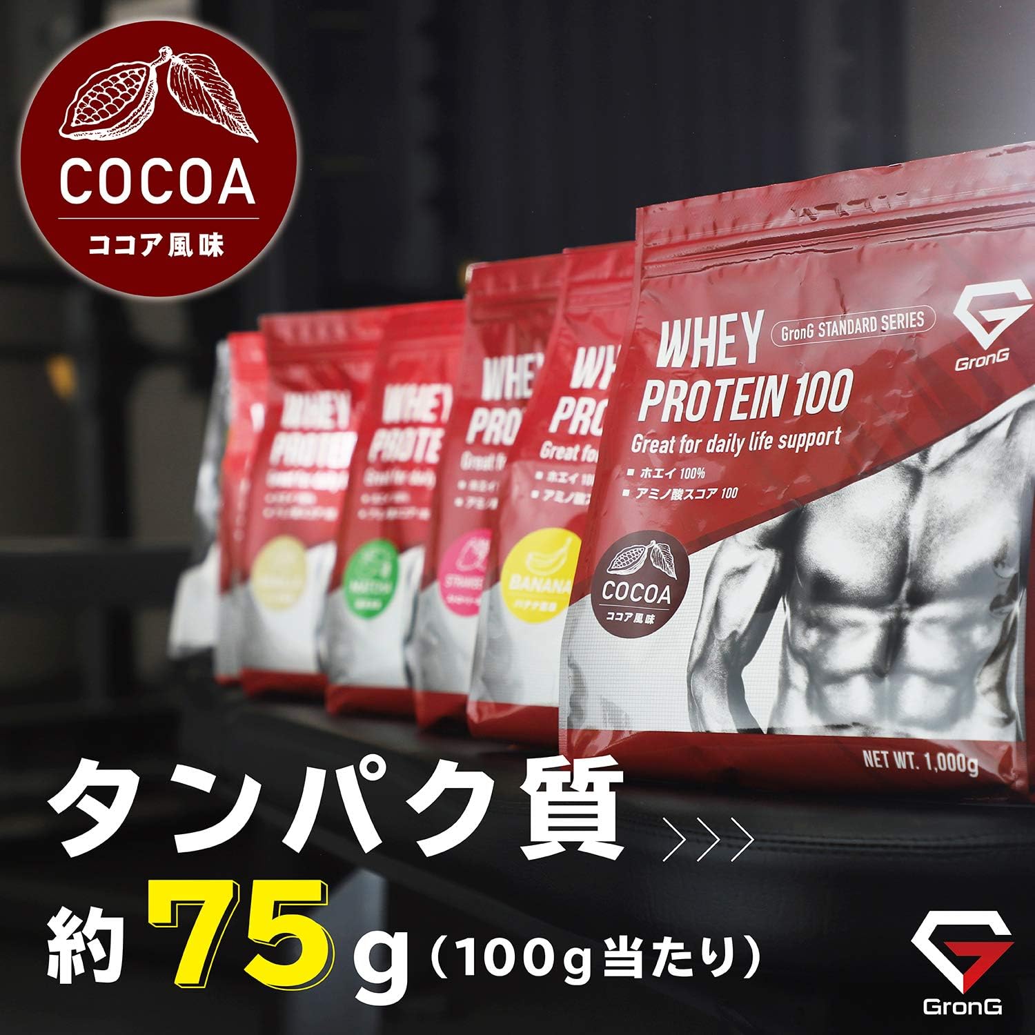 ホエイプロテイン100 スタンダード ココア風味 1kg