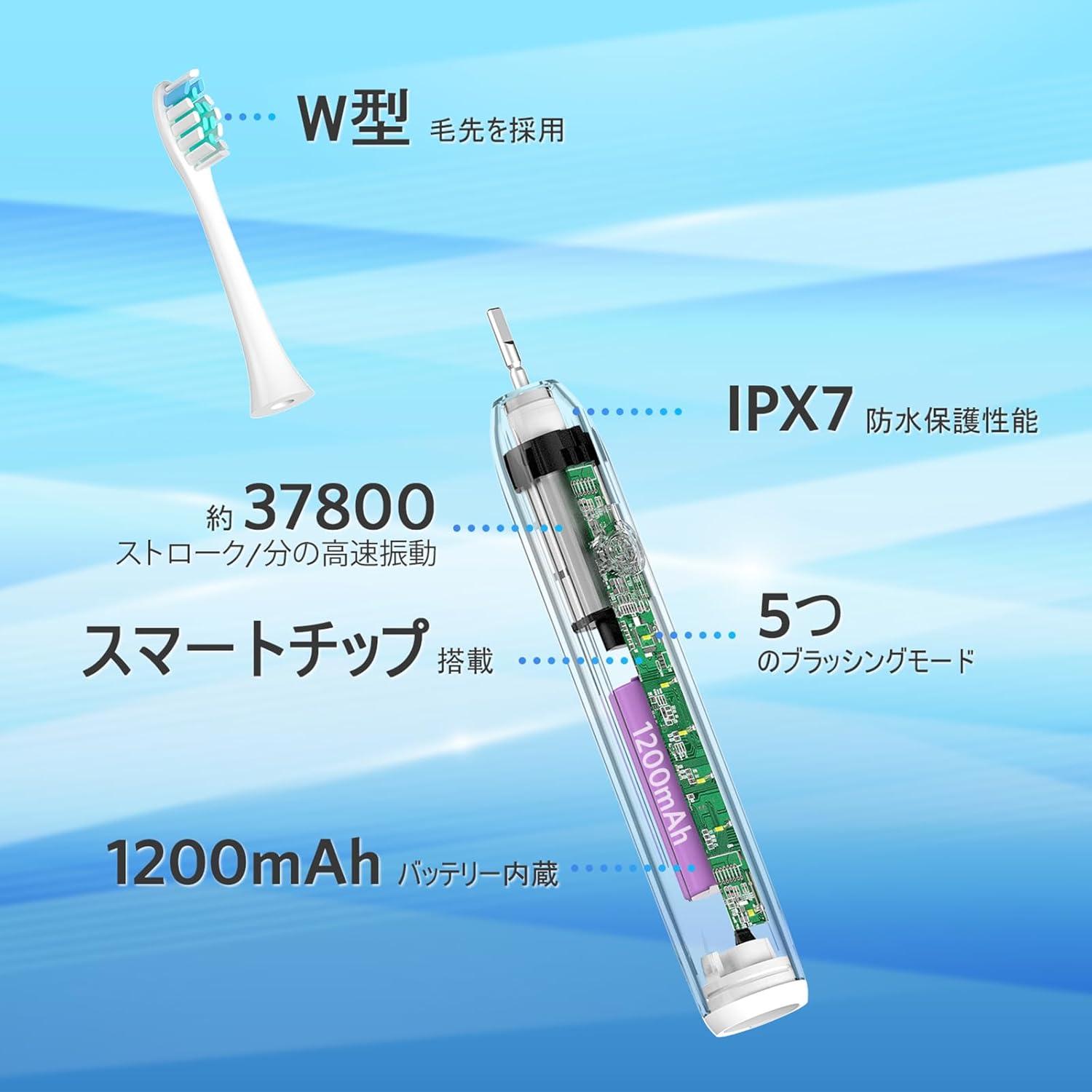 音波電動歯ブラシ 5モード USB充電 IPX7防水 替えブラシ6本付き