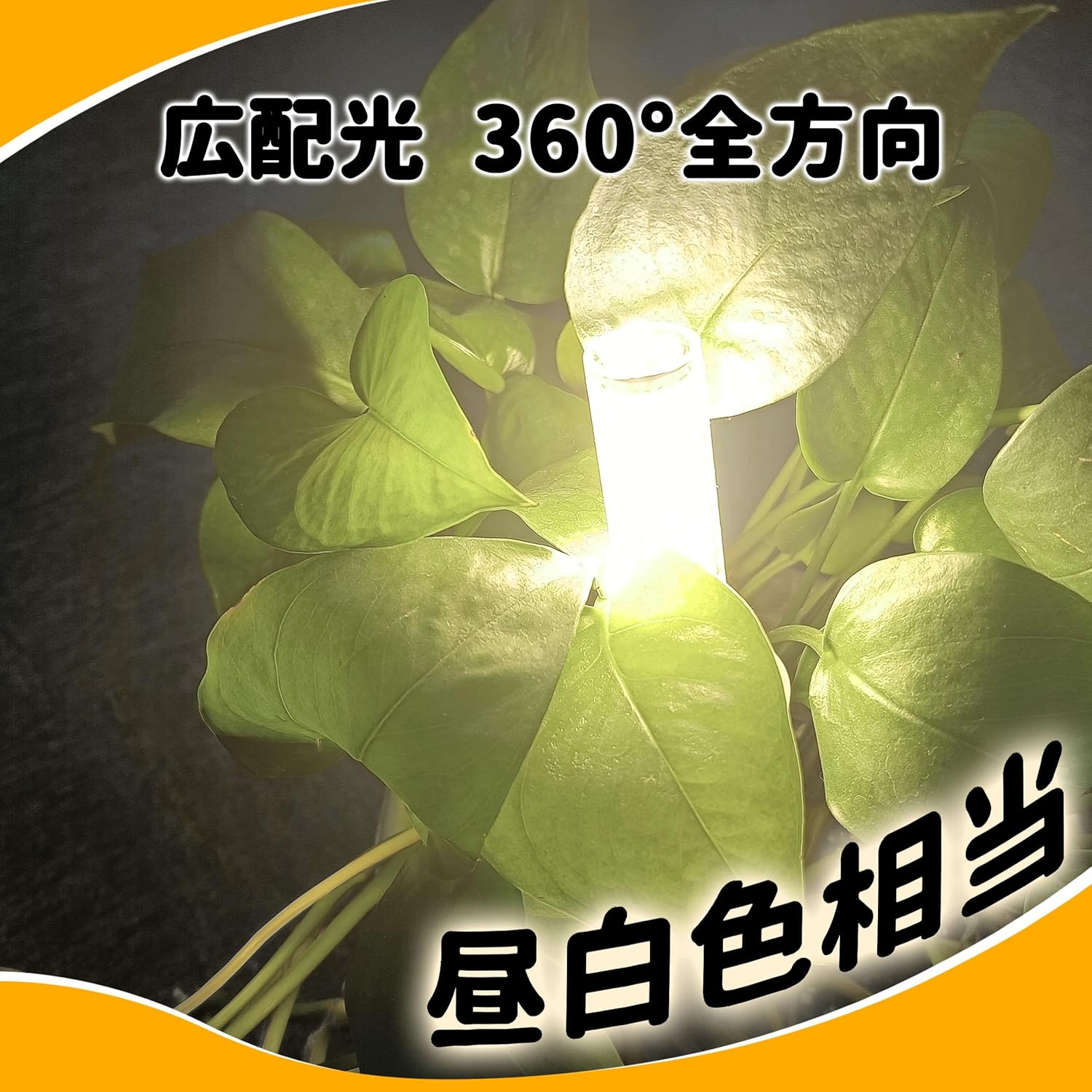 E17 LED電球 100W相当 昼白色 1200lm 高演色性 断熱材施工対応 5個セット