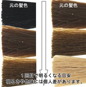 美容室生まれの強力ホワイトブリーチ 2個セット