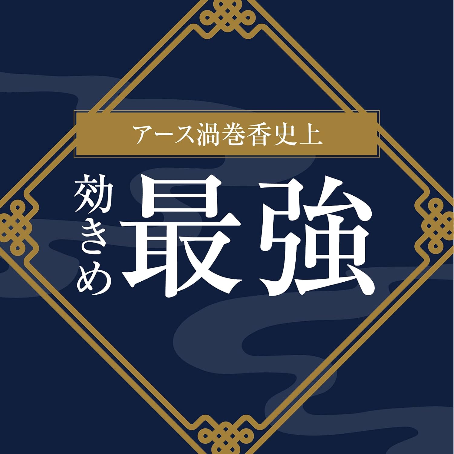 アース渦巻香 蚊取り線香 プロプレミアム 60巻入 侵入防止用線香立て付き