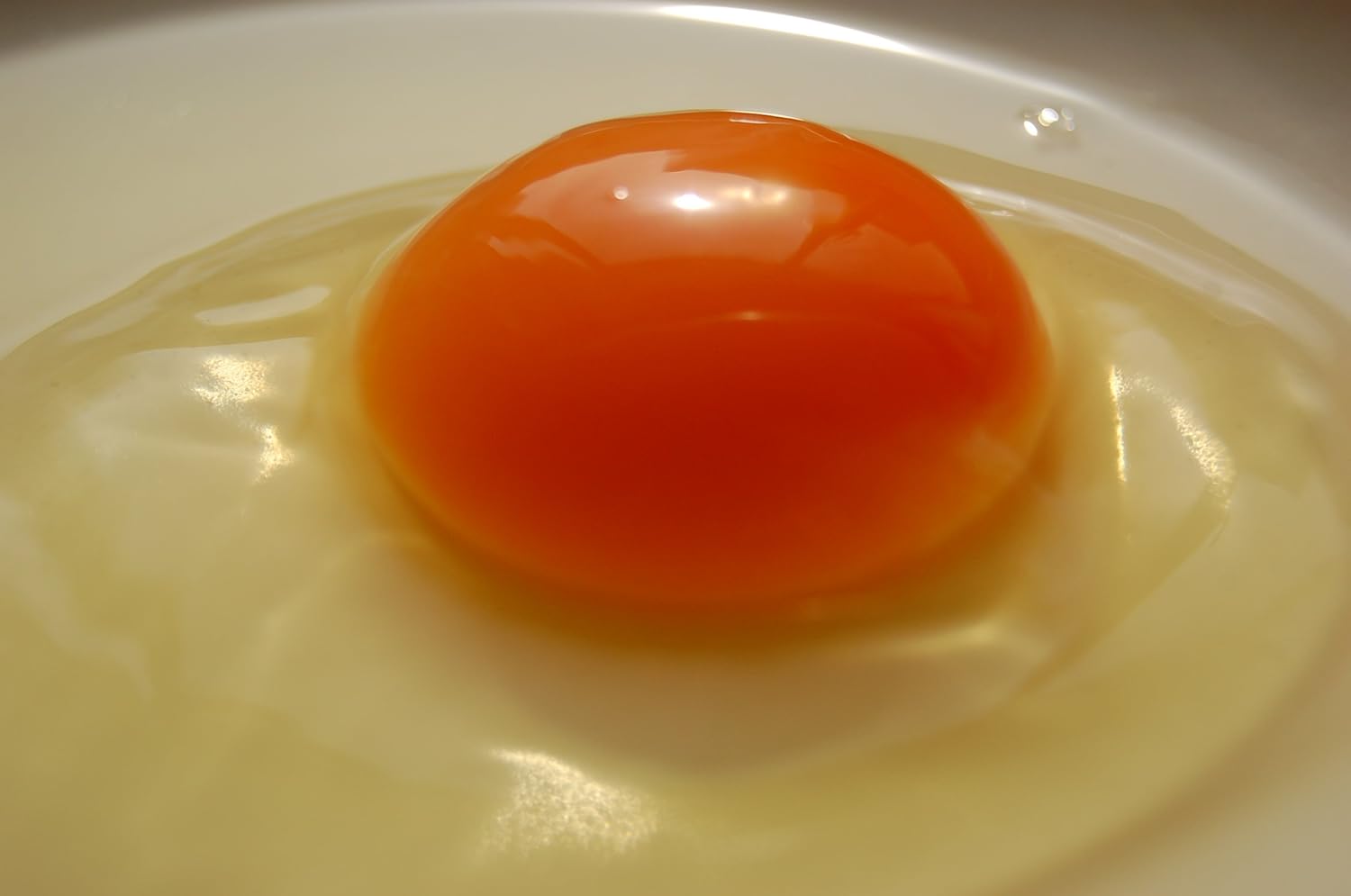 奈良県産高級ざわ卵16個セット【大阪府鶏卵品評会最優秀賞受賞】ラッピング可