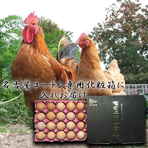 名古屋コーチン高級卵ギフト(20個入り)