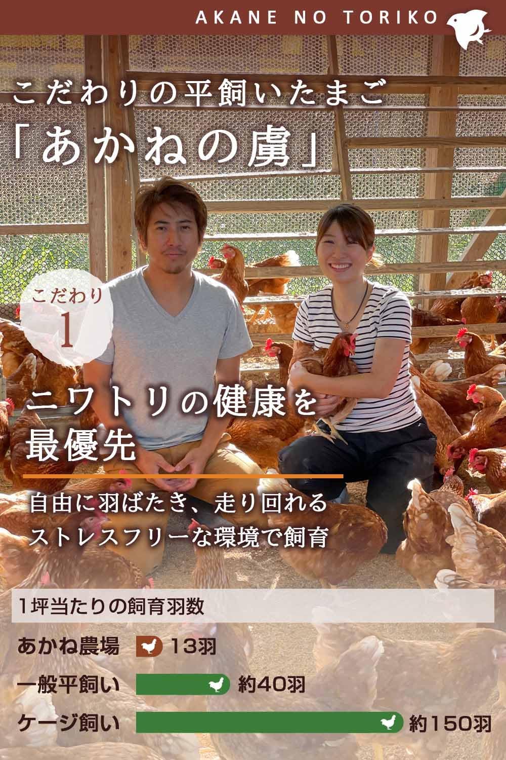 平飼い卵 あかねの虜 ギフトセット (常温保存可能 40個)