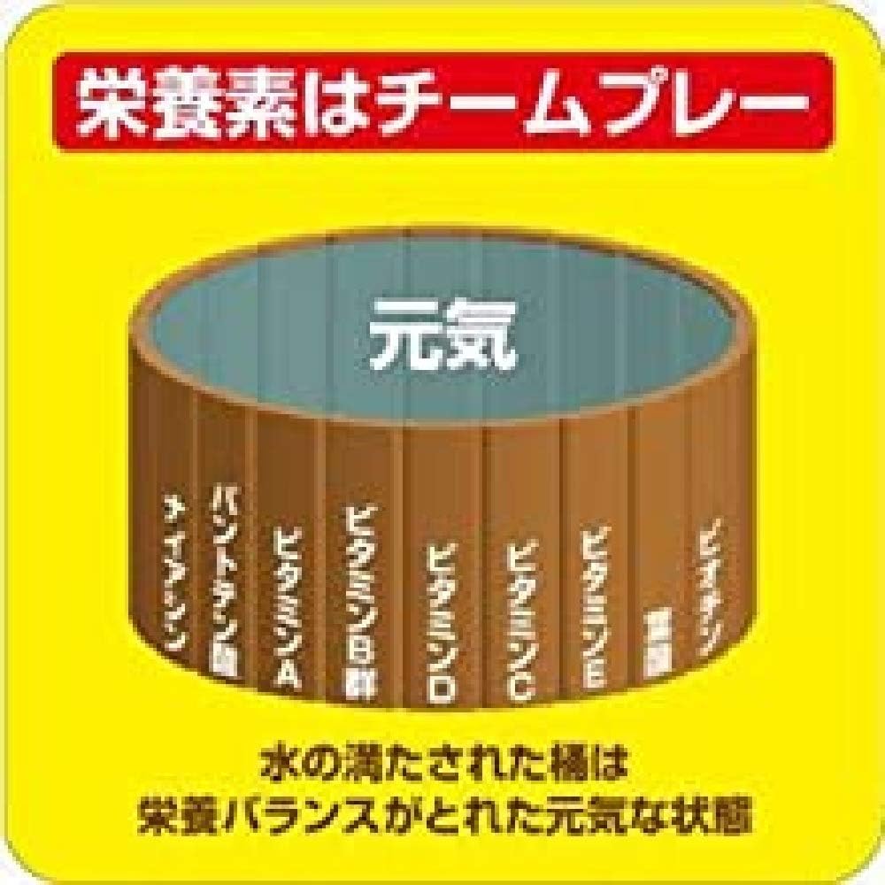 ネイチャーメイド マルチビタミン 100粒 (100日分)