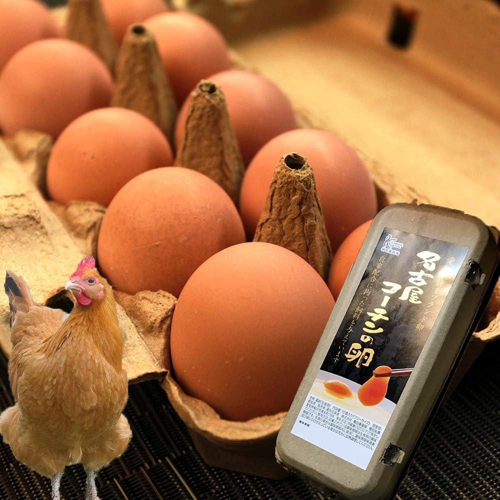 名古屋コーチン卵【30個入り】遺伝子組換え飼料・添加物不使用、養鶏場直送の安心卵