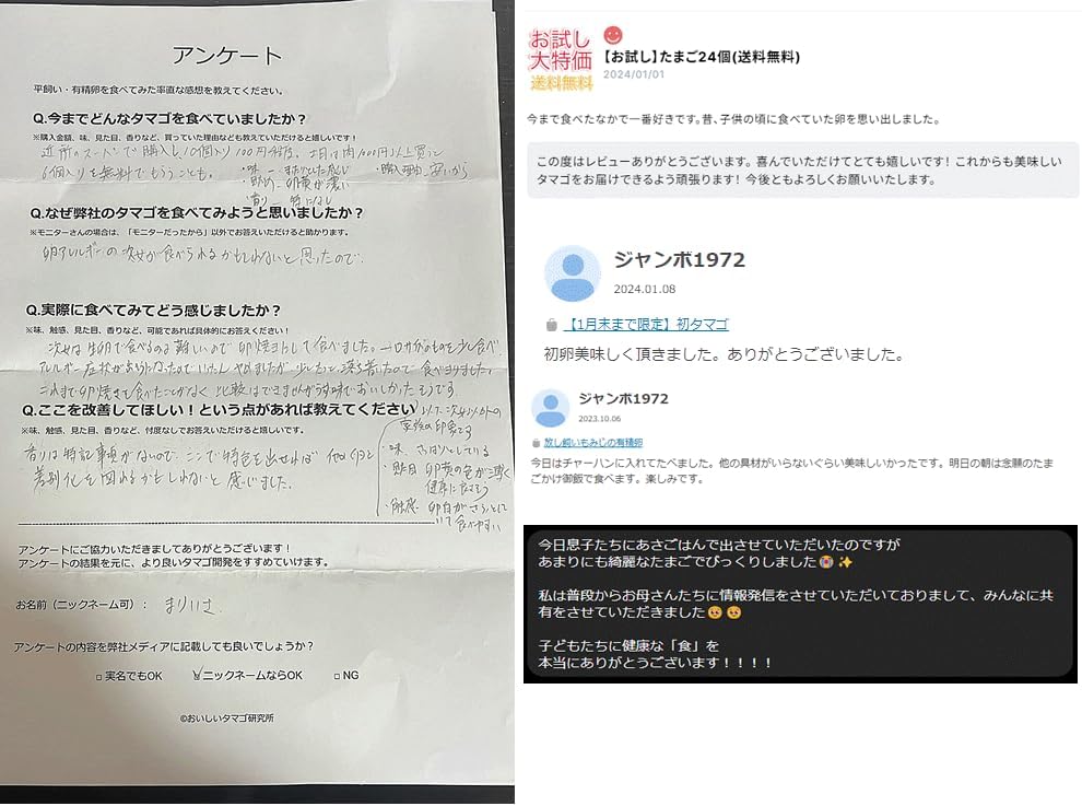 平飼い有精卵・自然卵(27個、割れ保証付き)モールドトレー版