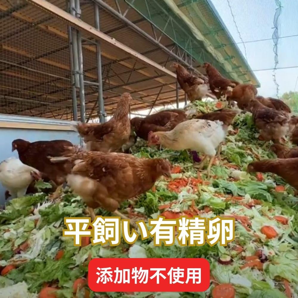 平飼い有精卵・自然卵(27個、割れ保証付き)モールドトレー版