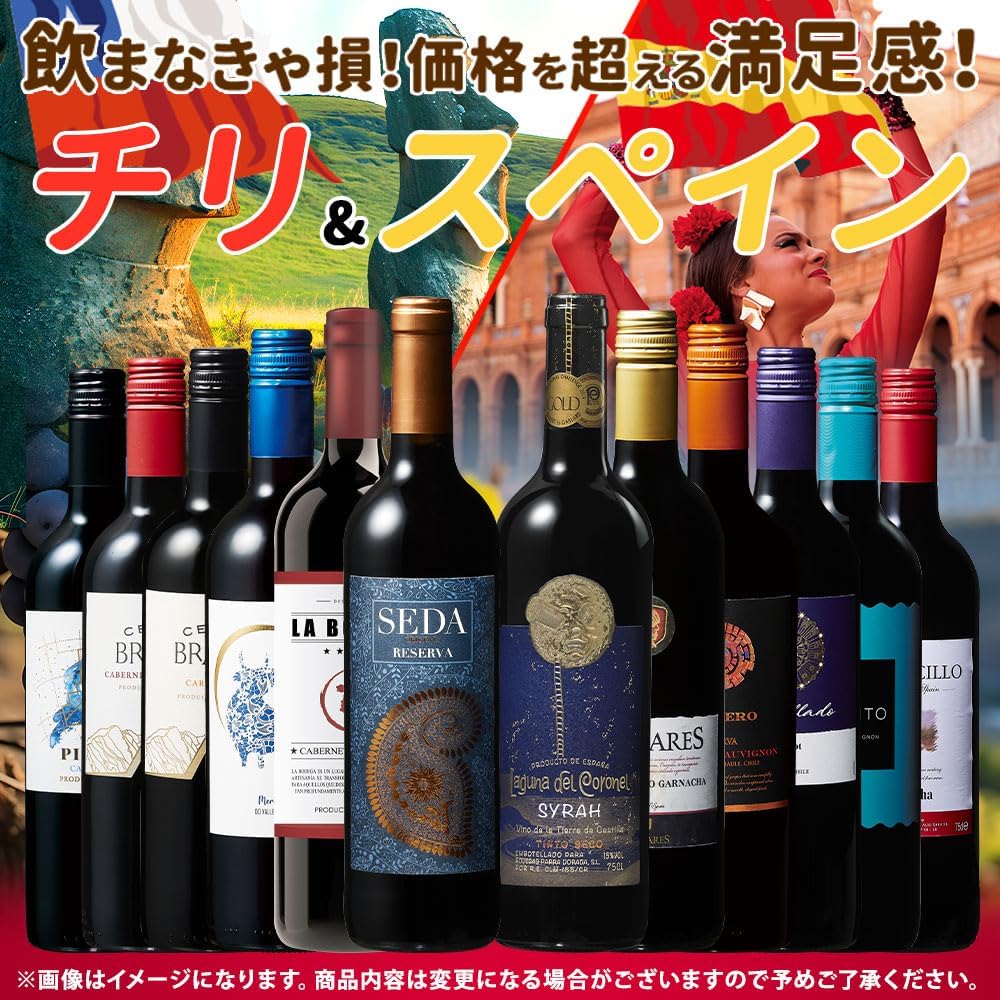飲み比べ赤ワインセット（チリ・スペイン産）750ml×12本