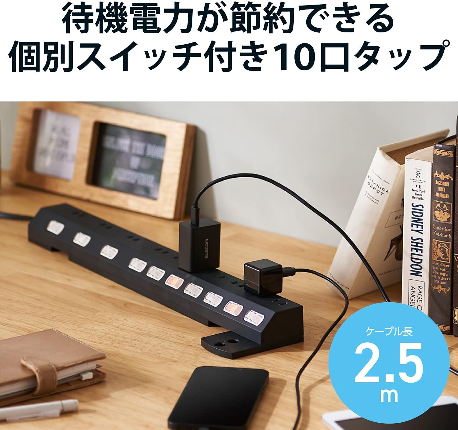 エレコム 雷ガード電源タップ 10個口 個別スイッチ付き 2.5m ブラック ECT-1625BK