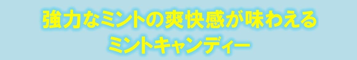 超強力ミントキャンディー 50g×10個