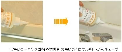 強力カビ取り剤 B-1MAXゲル 220g - 根元から分解・漂白タイプ【お掃除簡単】