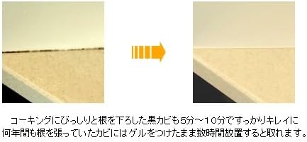 強力カビ取り剤 B-1MAXゲル 220g - 根元から分解・漂白タイプ【お掃除簡単】