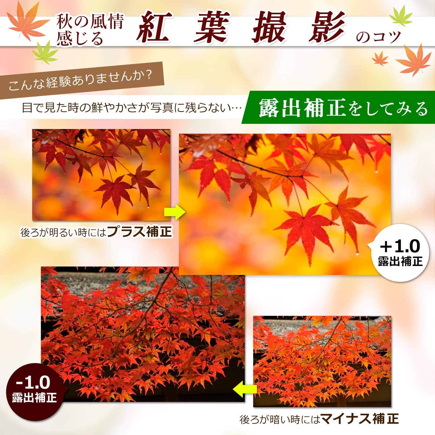 Nikon デジタル一眼レフカメラ D3400 ダブルズームキット ブラック