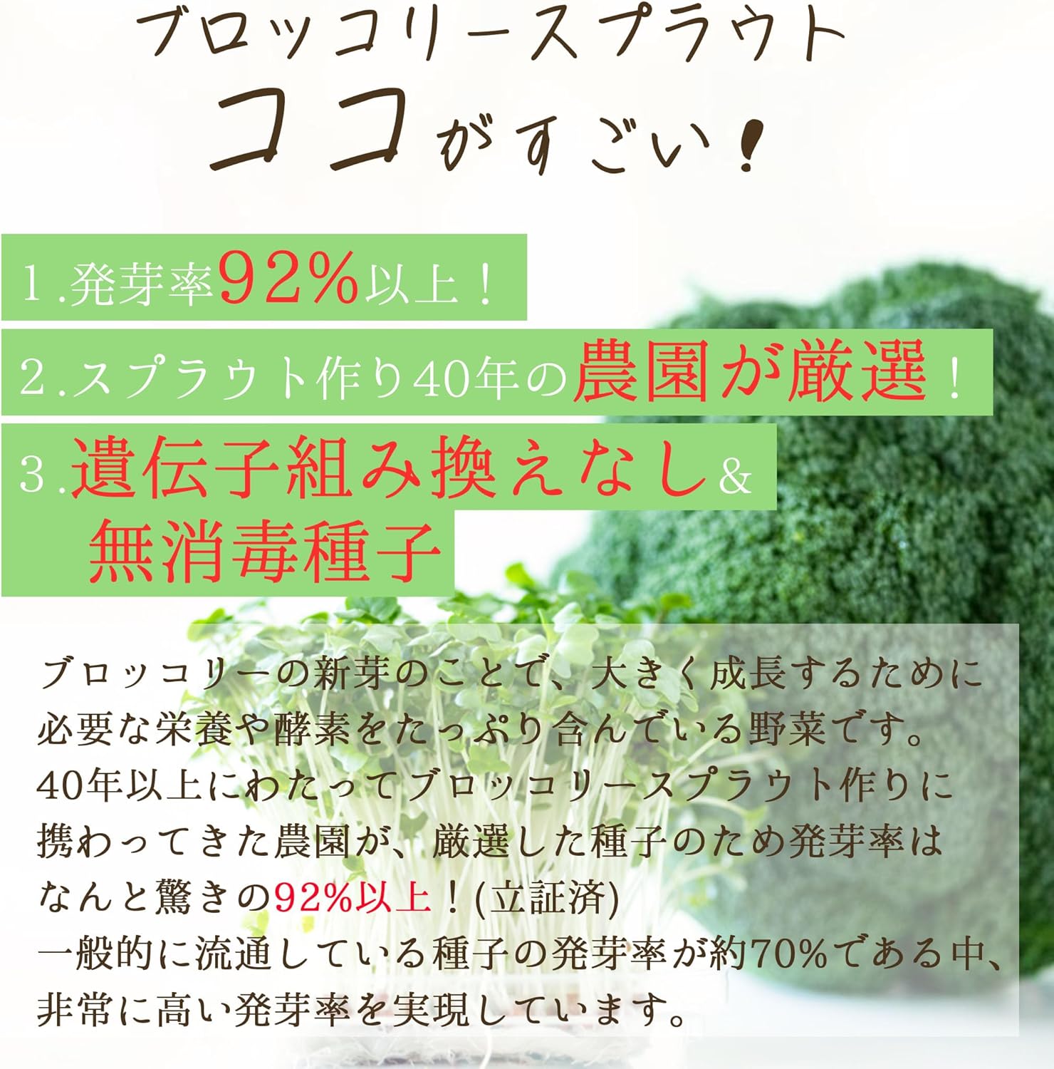 有機ブロッコリースプラウト種子 300ml 高濃度スルフォラファン含有 非遺伝子組み換え