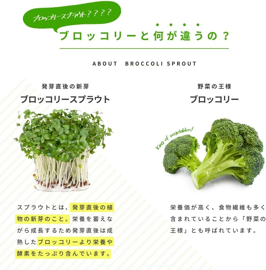 スルフォラファン配合 ブロッコリースプラウトサプリメント 約3ヶ月分 180粒
