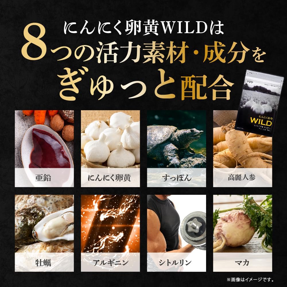 にんにく卵黄サプリメントWILD［亜鉛・マカ・すっぽん・牡蠣配合］62球入り