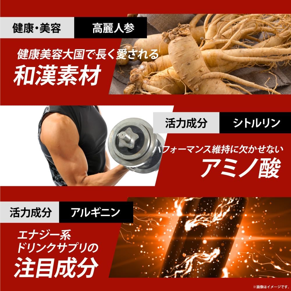 にんにく卵黄サプリメントWILD［亜鉛・マカ・すっぽん・牡蠣配合］62球入り