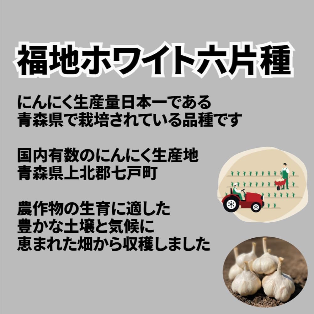 青森県産 福地ホワイト六片種 にんにく バラ 500g×3 まとめ売り