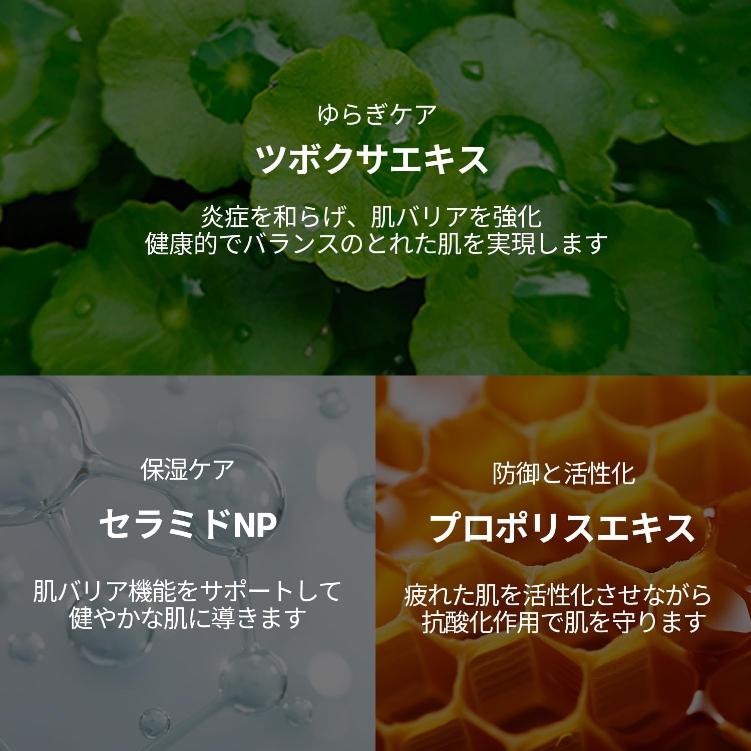 敏感肌・乾燥肌向け シカクリーム 50ml 6種 保湿 スキンケア
