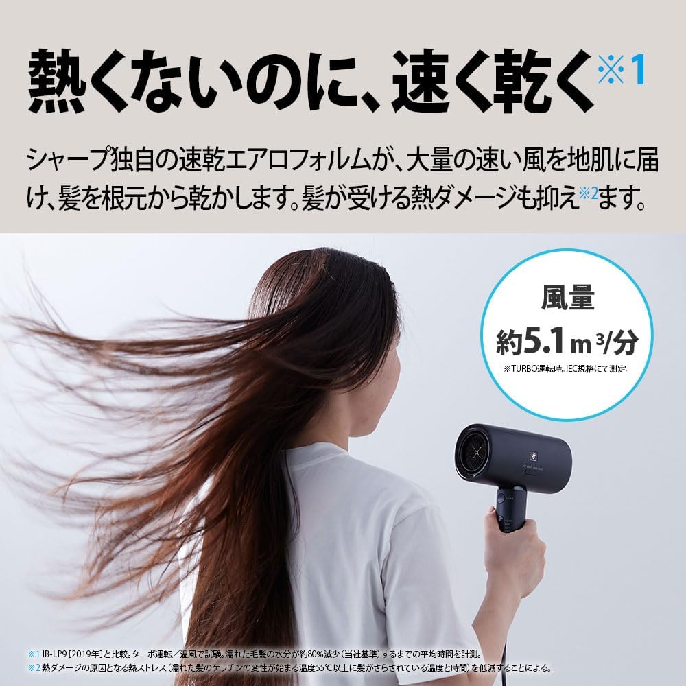 プラズマクラスター ドライヤー 速乾 大風量 静電気抑制 IB-P801-W