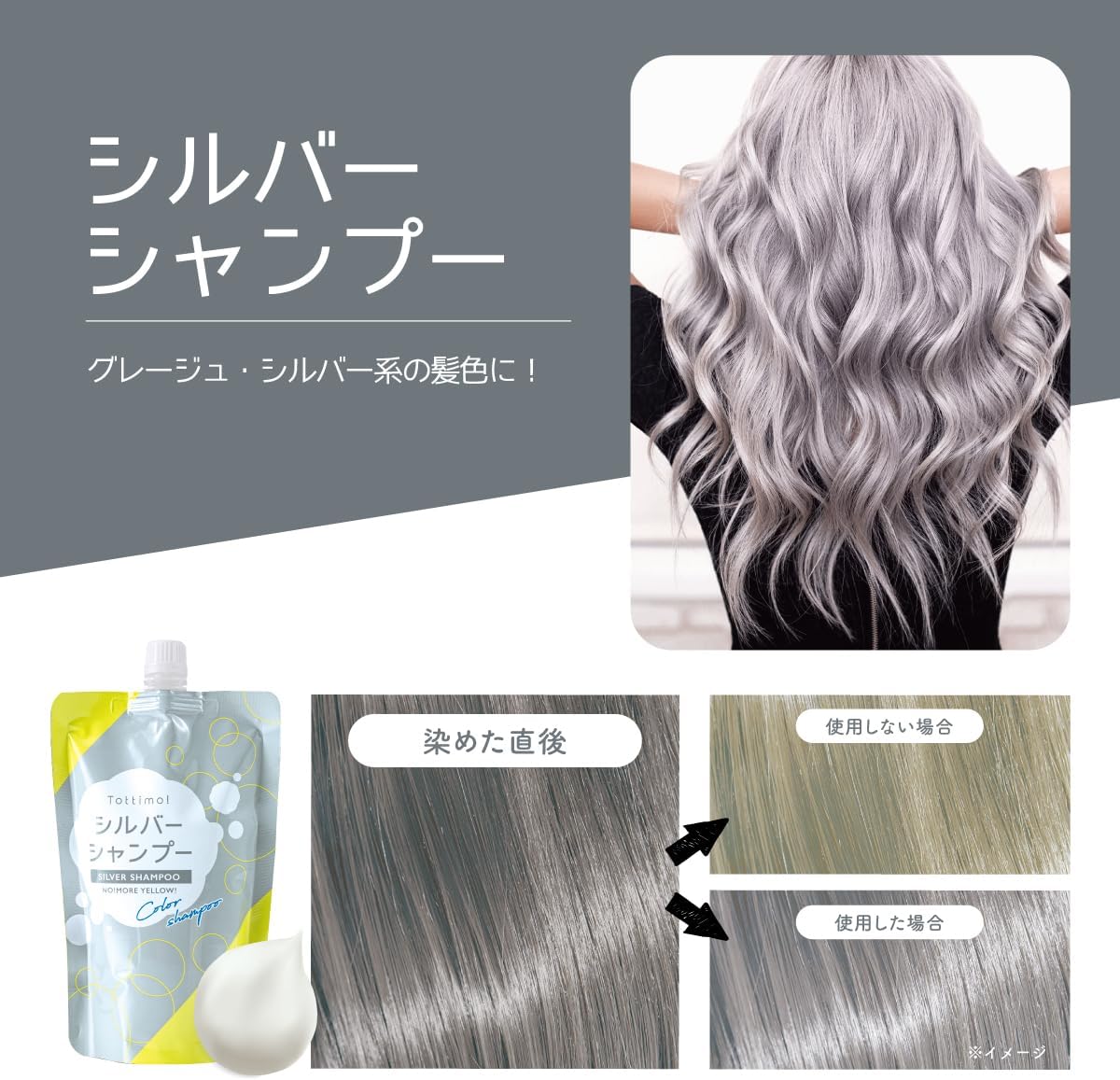 シルバー カラーシャンプー 500mL【高コストパフォーマンス】