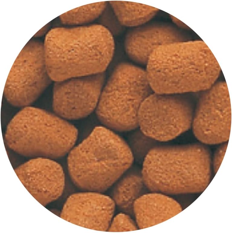 テトラ レプトミンスーパー中粒 160g 亀用餌