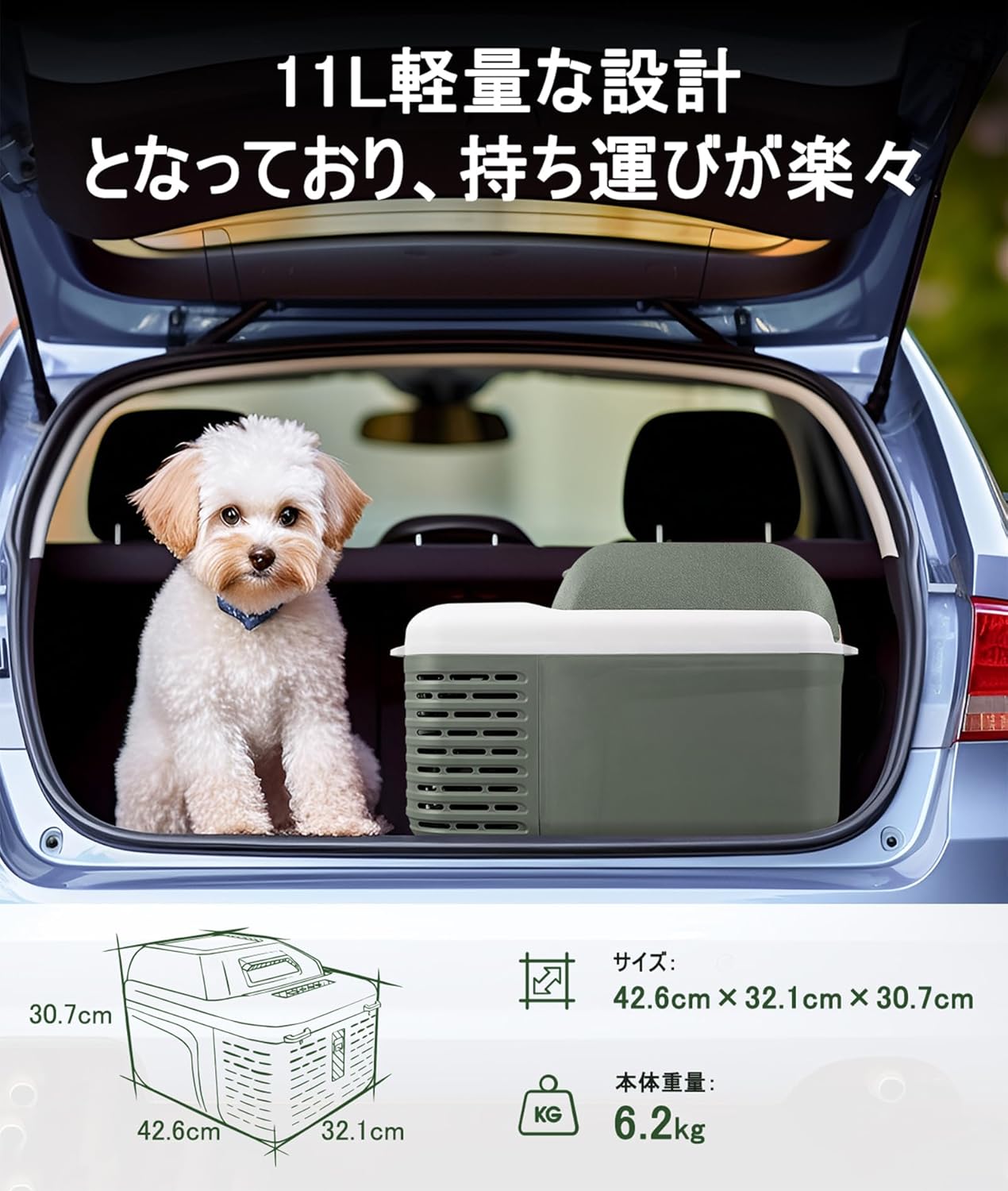ポータブル冷蔵庫 11L 車載用 -20℃～20℃ 急速冷凍 3WAY電源対応 低電圧保護 省エネ